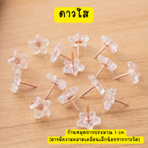หมุดปักกระดาน ดาวใสก้านโรสโกลด์